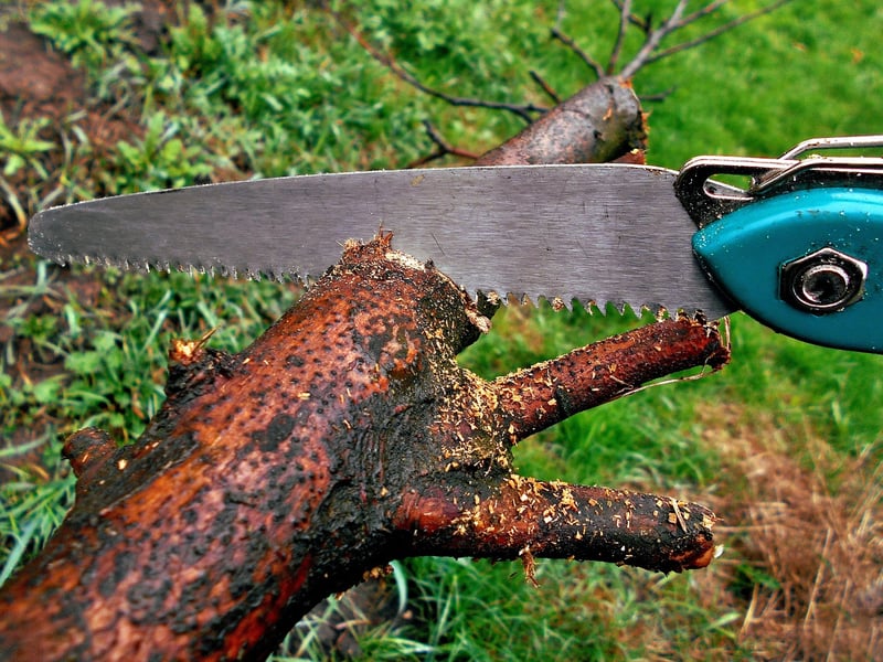 Pruning Shears